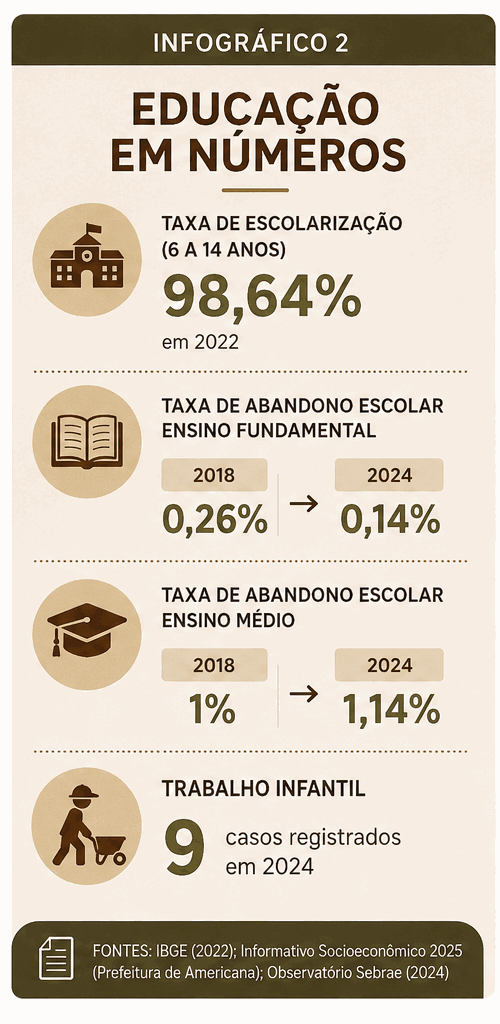 Infográfico sobre escolarização, abandono escolar e trabalho infantil em Americana